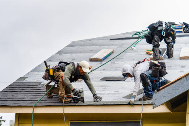 Professional Storm Damage Roof Repair technician working in Shasta Lake, CA